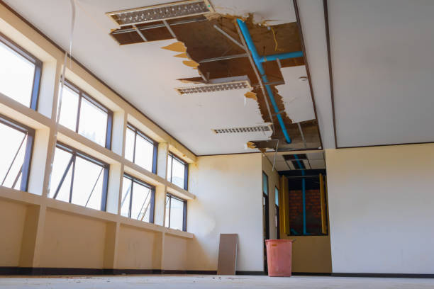 Best Professional water damage repair  in Mars Hill, NC