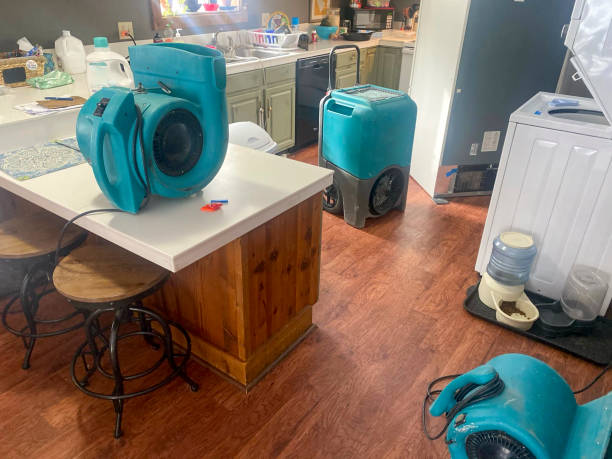 Best Ceiling water damage repair  in Mars Hill, NC