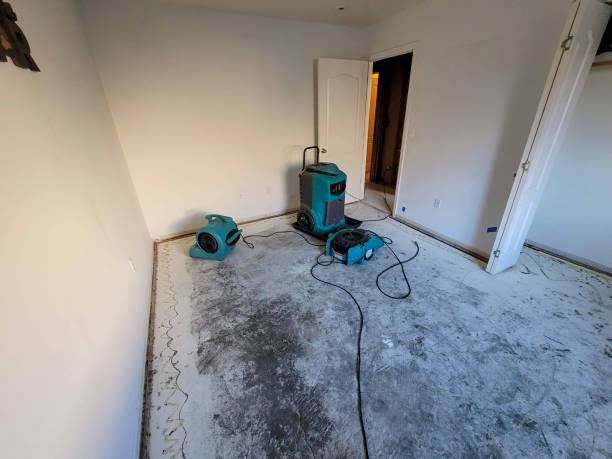 Best Commercial water damage restoration  in Mars Hill, NC