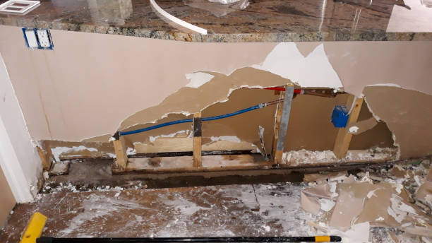Best Ceiling water damage repair  in Mars Hill, NC