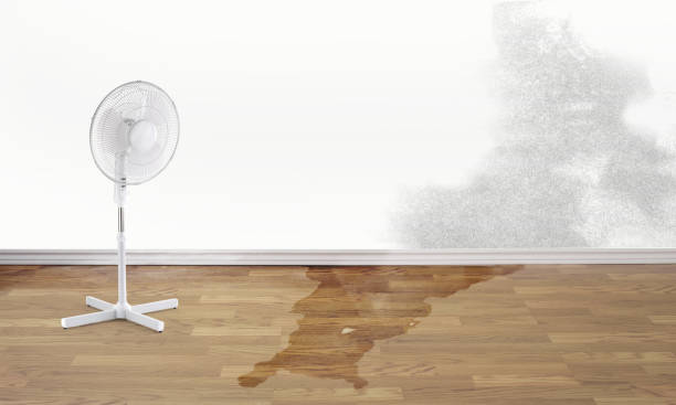 Best 24/7 water damage repair  in Mars Hill, NC