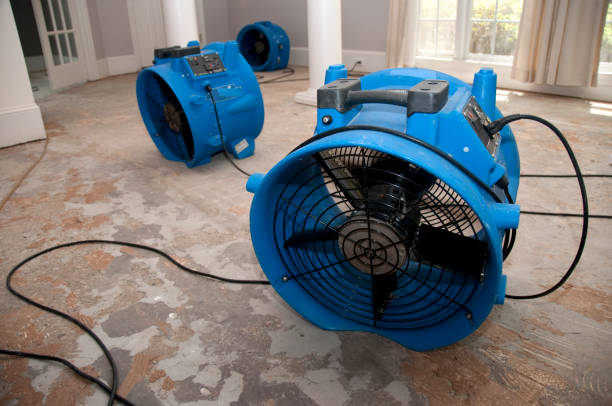 Best Commercial water damage restoration  in Mars Hill, NC