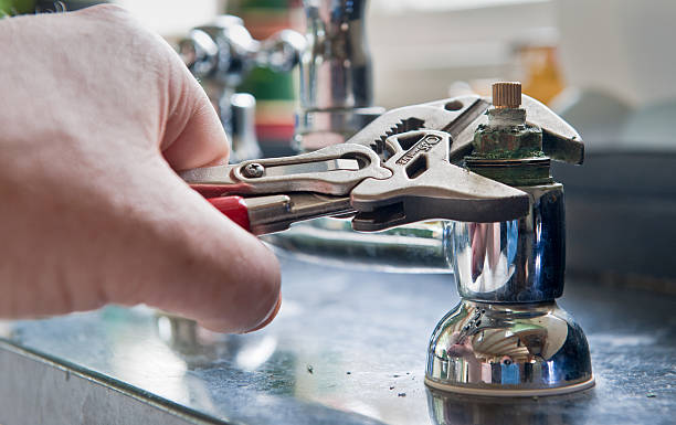 Best Professional water damage repair  in Mars Hill, NC