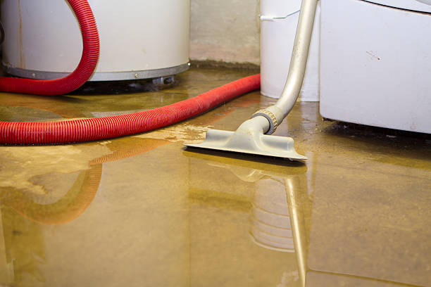 Best Fire Damage Restoration  in Mars Hill, NC