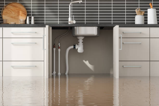 Best Residential water damage restoration  in Mars Hill, NC