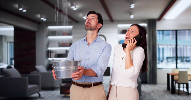 Best Flood damage cleanup  in Mars Hill, NC